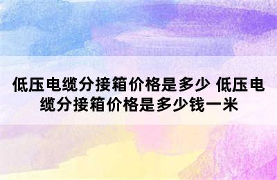 低压电缆分接箱价格是多少 低压电缆分接箱价格是多少钱一米